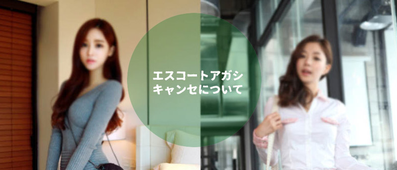 エスコートアガシのレベル エスコートアガシのレベル